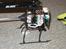 Helikopter Blade nano CPX (solgt)