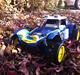 Buggy tamiya holiday buggy