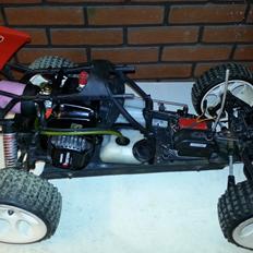 Buggy FG Baja