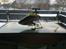Helikopter E-flite Blade Nano CP X - Klar til første tur