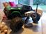 Off-Roader hpi savage flux hp---the big one