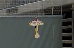 Fly E-flite 4site ultra micro billede 16