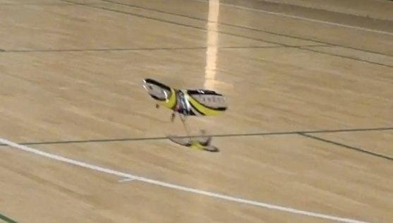 Fly VAPOR  fra Parkzone billede 12