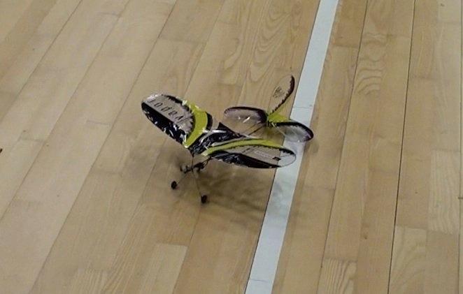 Fly VAPOR  fra Parkzone billede 13