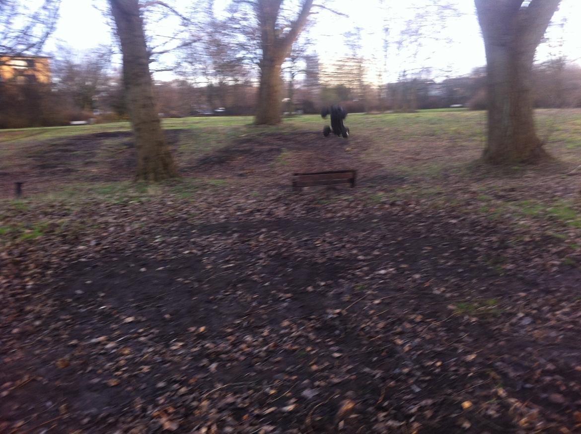 Truck savage hp flux billede 7