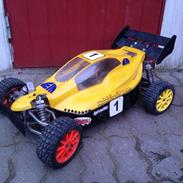 Buggy Elcon Cleon 08