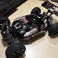 Buggy Hot Bodies D8S