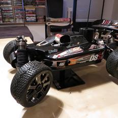 Buggy Hot Bodies D8S