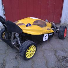 Buggy Elcon Cleon 08