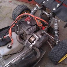 Buggy Elcon Cleon 08