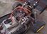 Buggy Elcon Cleon 08