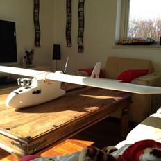 Fly Skywalker 1880 Condor