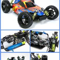 Buggy GV. REX-X 1/8th rally cross buggy