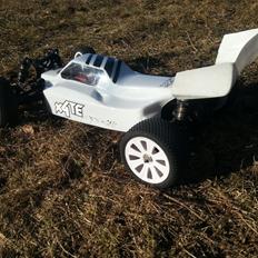 Buggy Team C 4WD team edition