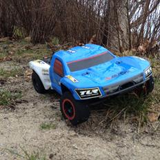Off-Roader TLR Losi 22 Sct