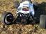 Buggy Team C 4WD team edition