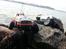 Off-Roader Axial scx10 Toyota VX LIMITED 