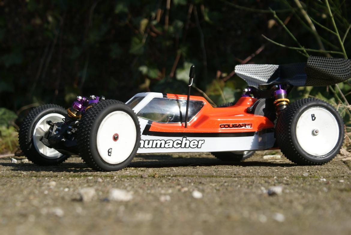 Buggy Schumacher Cougar SV2 billede 2