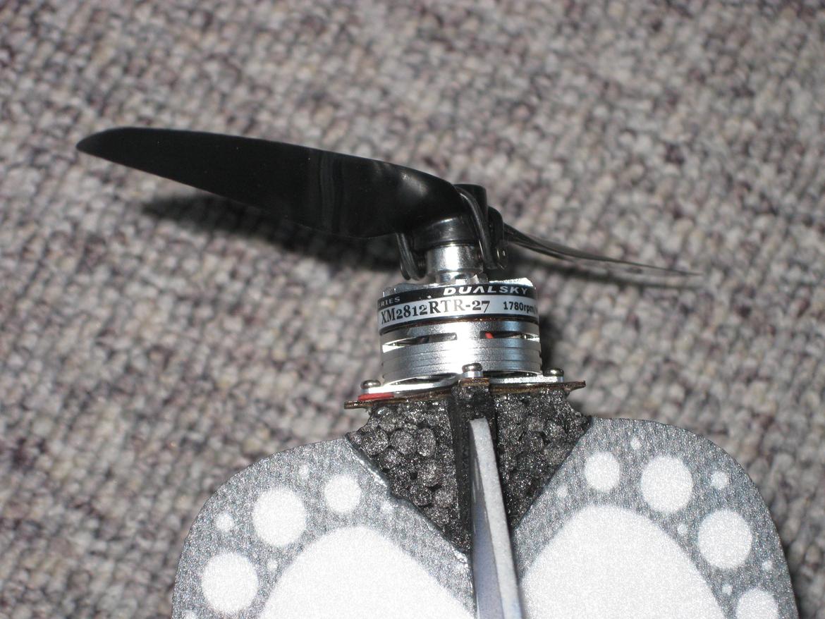 Fly Clik EVO indendørs model (solgt) billede 5