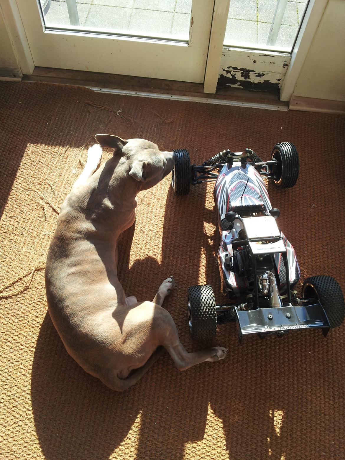 Buggy MaXam R5 Baja Evo1 billede 14