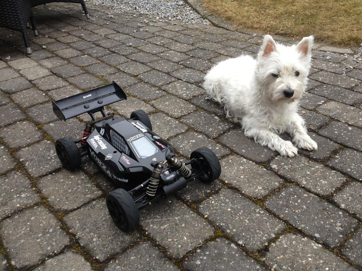 Buggy Vorza Flux billede 6