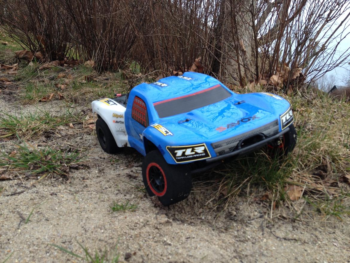 Off-Roader TLR Losi 22 Sct billede 2