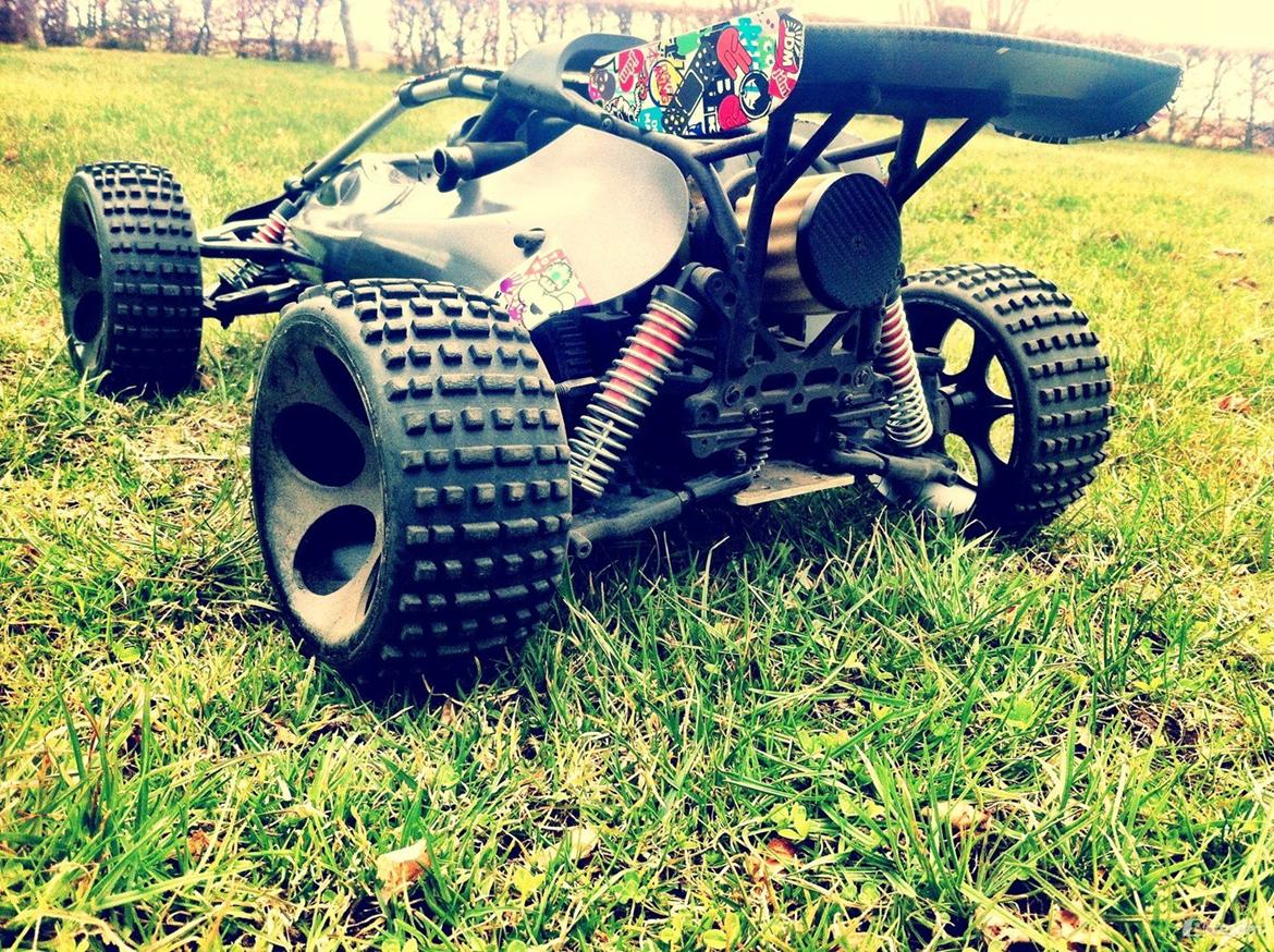 Off-Roader FG BAJA BUGGY 2WD billede 1