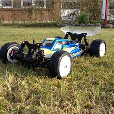 Buggy Schumacher Cat k1