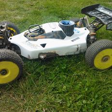 Buggy team Durango  DNX408