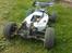 Buggy team Durango  DNX408