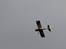 Fly Ripmax WOT 4 nitro