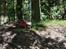 Off-Roader Axial SCX-10 Hilux "Truck Norris"