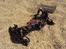 Buggy Team Durango DEX210