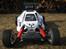 Buggy FG Leopard 2wd Competition