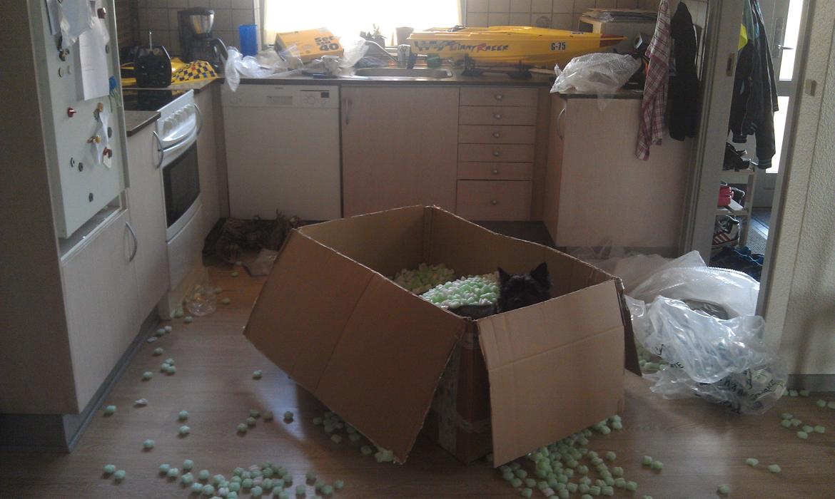 Båd Graupner Giant Racer - Da den kom hjem billede 7