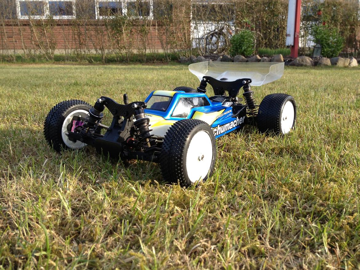 Buggy Schumacher Cat k1 billede 2