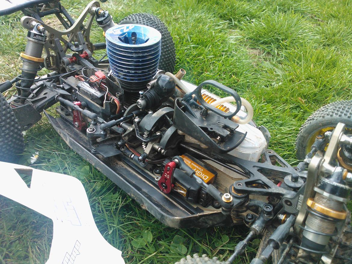 Buggy team Durango  DNX408 billede 5