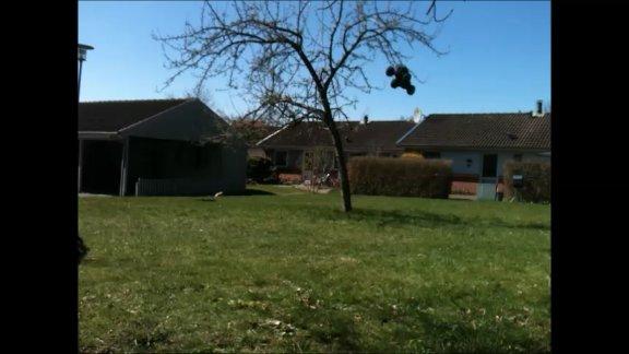 Off-Roader Hpi Savage xs flux billede 9