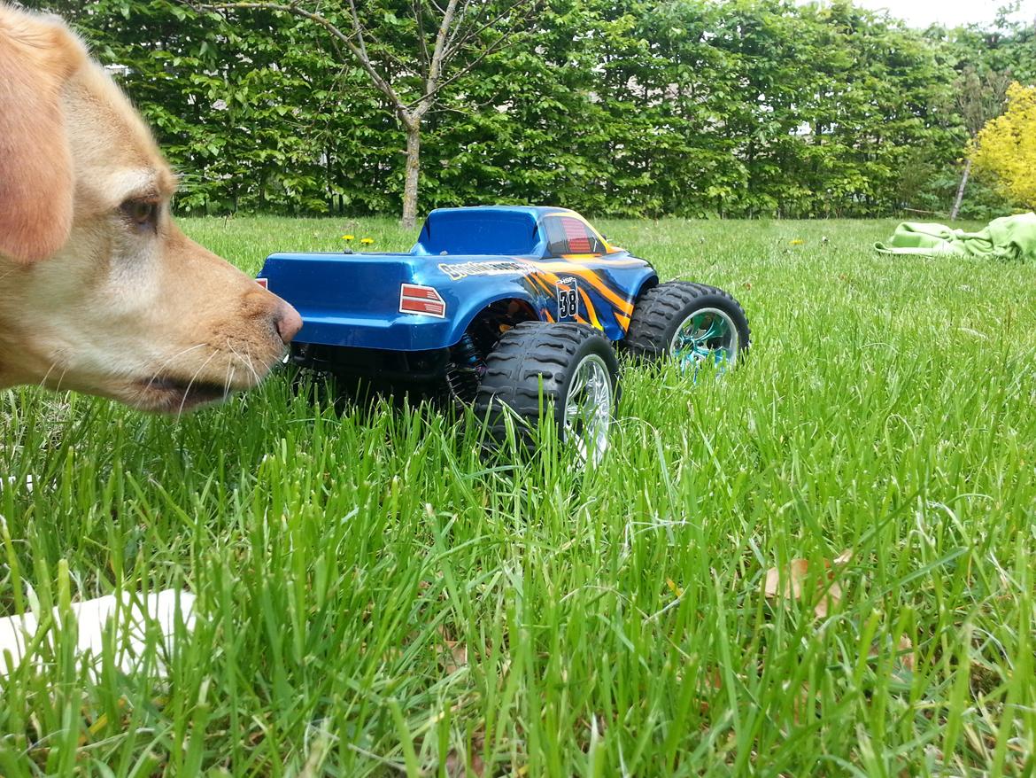 Bil Offroad HSP Brontosaurus 1/10 Brushless billede 17