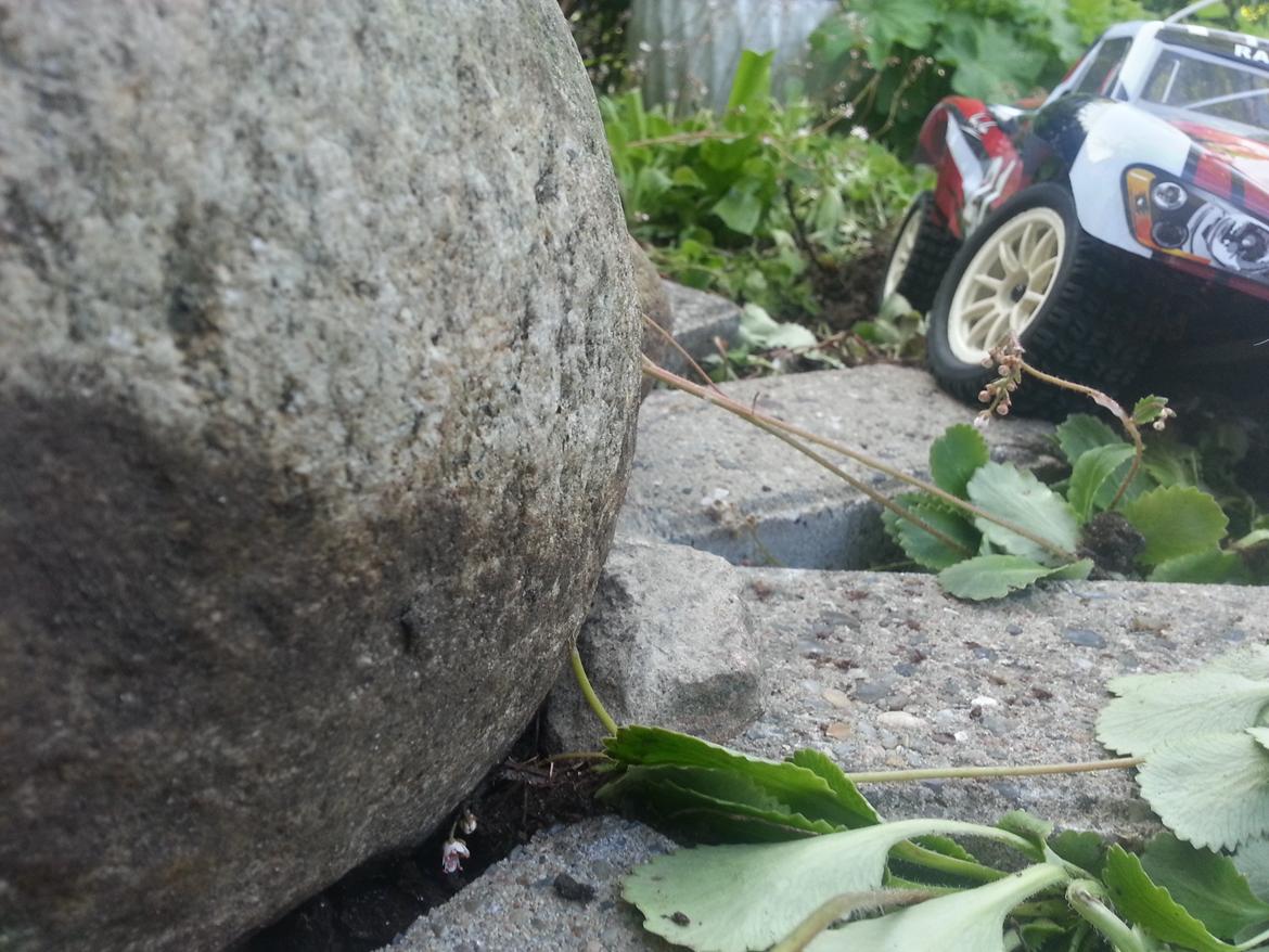 Bil Cen ST2 Rally billede 1