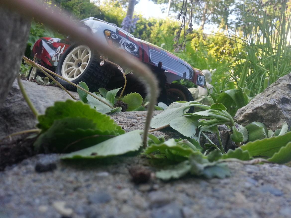 Bil Cen ST2 Rally billede 2