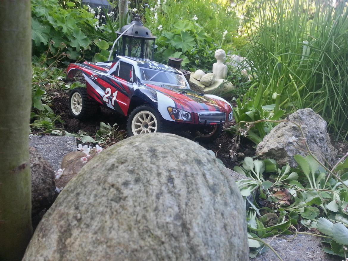 Bil Cen ST2 Rally billede 4