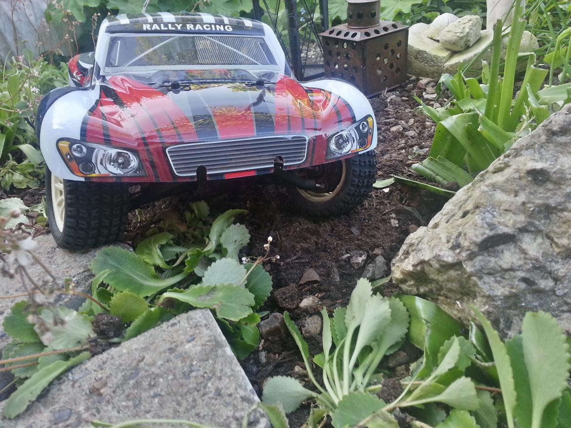 Bil Cen ST2 Rally billede 7