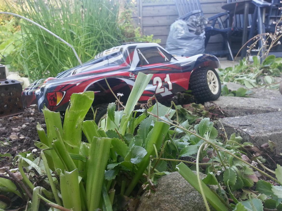 Bil Cen ST2 Rally billede 8