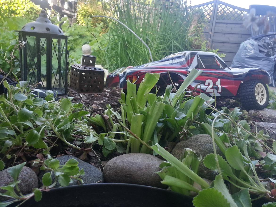 Bil Cen ST2 Rally billede 9