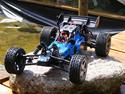 Buggy Wave Runner Buggy 2WD