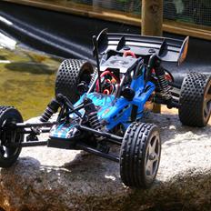 Buggy Wave Runner Buggy 2WD
