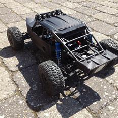 Buggy Exo Terra Kit