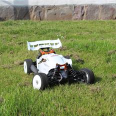 Buggy HoBao Hyper SSe