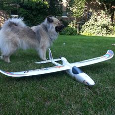 Fly Multiplex Easy-Star II